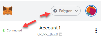 MetaMask Polygon Connected